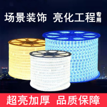 led灯带防水高压LED贴片柔性软灯条2835双排三排220v七彩灯带RGB