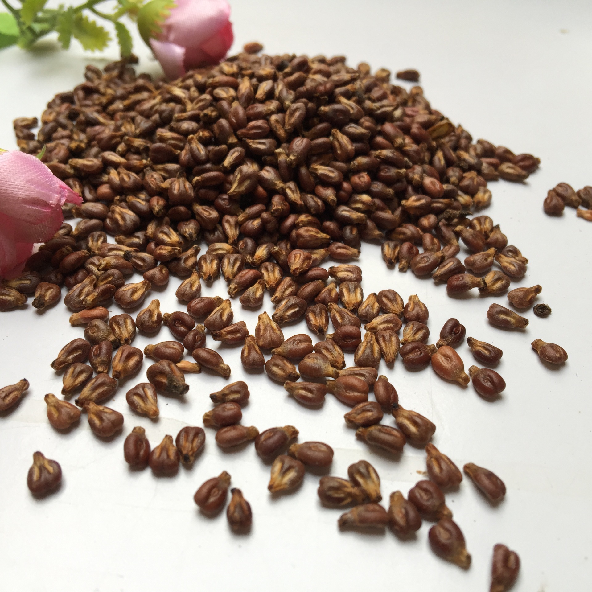 Grape Seed Powder Xinjiang Roasted Pu Tao Zi Culinary Herbal Ingredient quality and texture