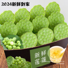 莲子新鲜莲蓬生吃嫩甜现摘现发包邮农家带壳莲蓬新鲜生吃4斤