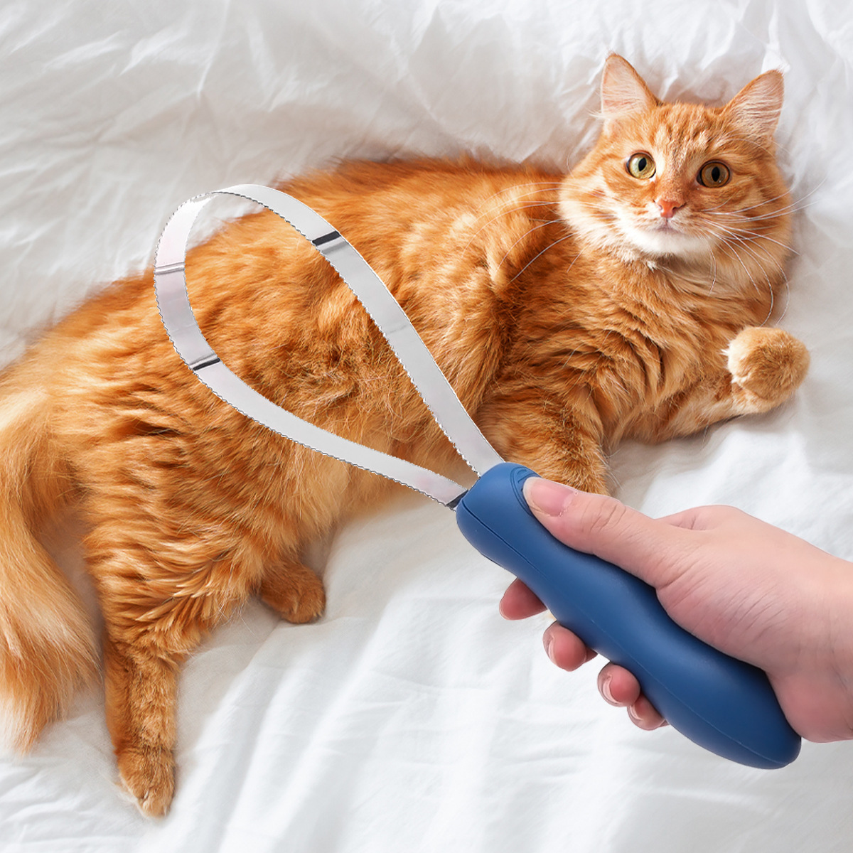 acero inoxidable depilación mascotas belleza de cabello