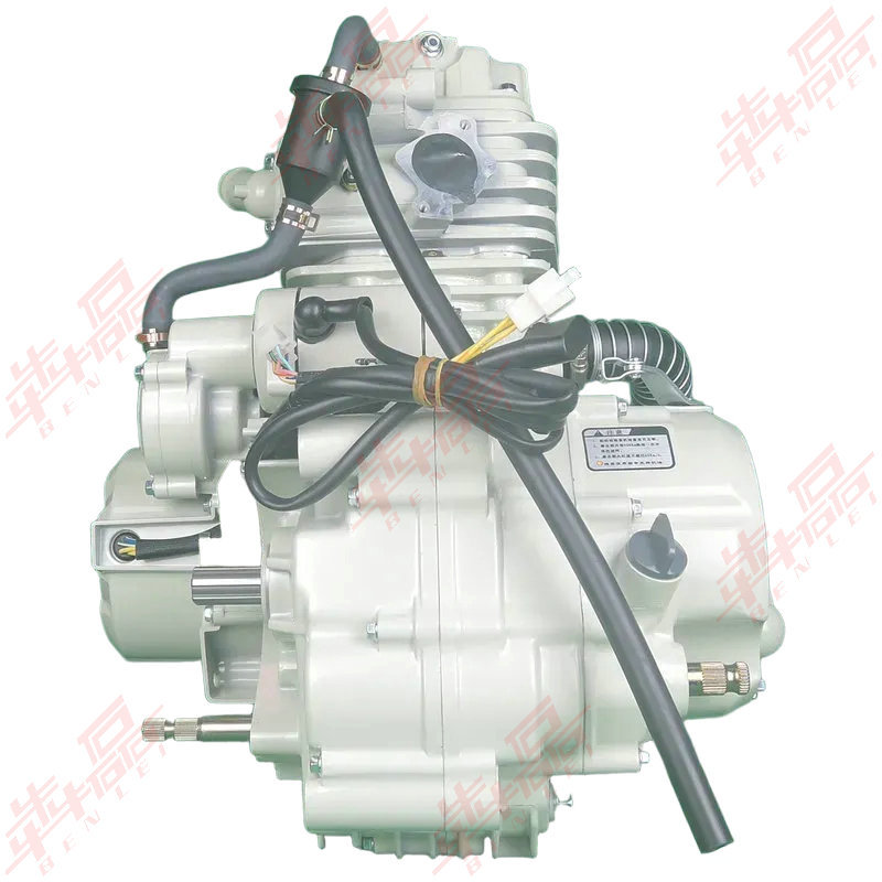 Jiangsu Zongshen Same Model Weifeng 200250300350 Dual Cooling Jiangsu Three-Wheel Motorcycle Heavy-Duty Engine Assembly