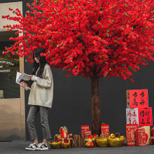 �����һ���tɫ��ʽ���L�S�lؔ�t����٘䲼����������b�