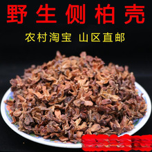 ����ɽҰ���Ȱؚ�5�� ɢ�b��о ���^�l�ؘ䚤���Ӛ����x �ؚ���