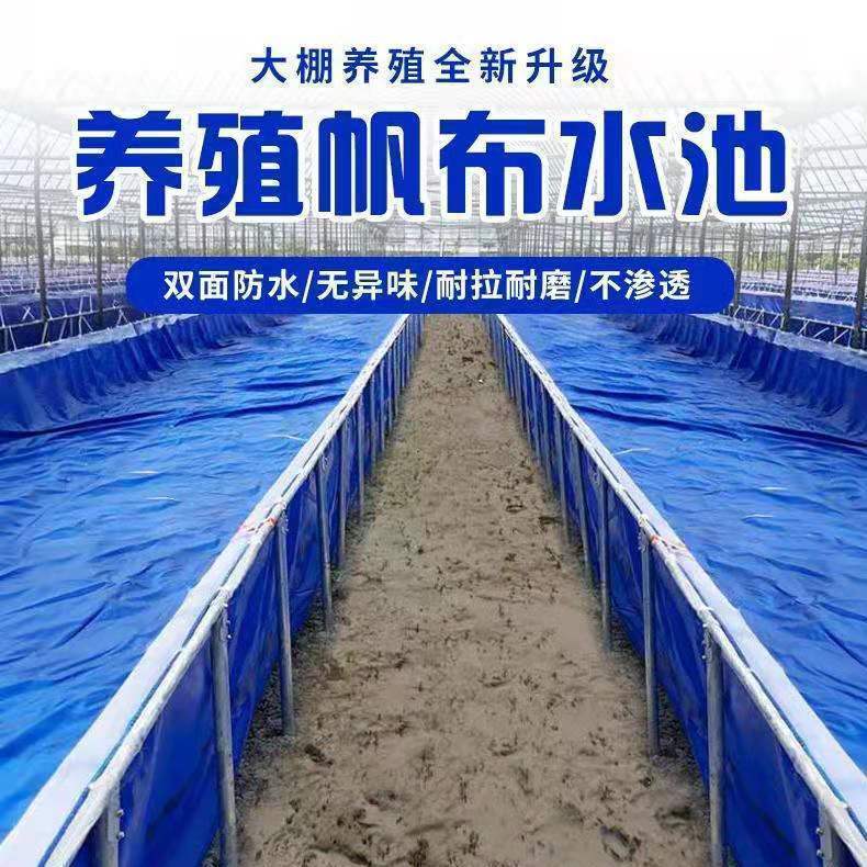 帆布鱼池一整套防晒防漏高密度养鱼水池水蛭鱼池布刀刮布加厚