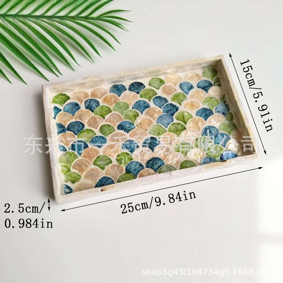 직사각형 작은 전복 삼색 물고기 비늘 25*15*2.5cm