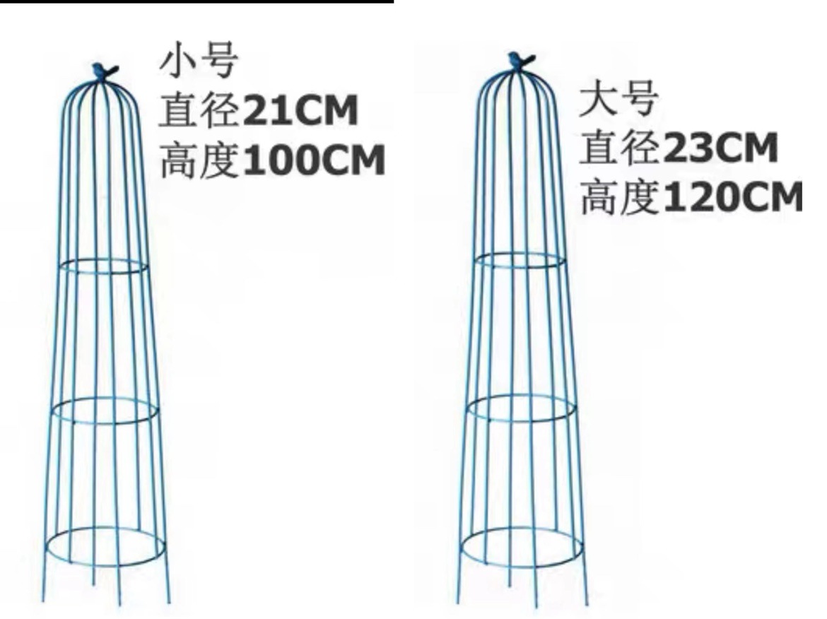 원추형 블루 세트