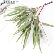 ����Gֲ 3֦���~�ȼ������� ���Wins�Ҿ��b�c�zӰ�٘��ȼ���