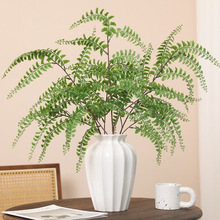 �羳���N�����L֦ܛ�zާ�~ ɭϵ�ҾӾƵ��c�bٻ��Gֲ�[��