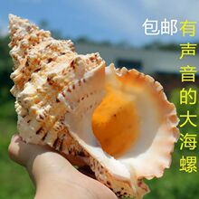 �����ݴ��ݚ�ؐ���b[̨�~���쾰��ʯ��̖ؐ������ؐ��