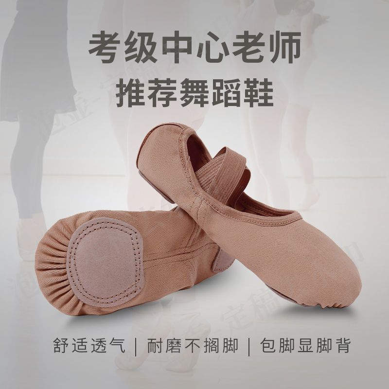 Full Elastic Cloth Dance Shoes for Women, Soft Sole, Summer, Children's Practice, Classical, Lace-Free, Professional Ballet Cat Cross-Border