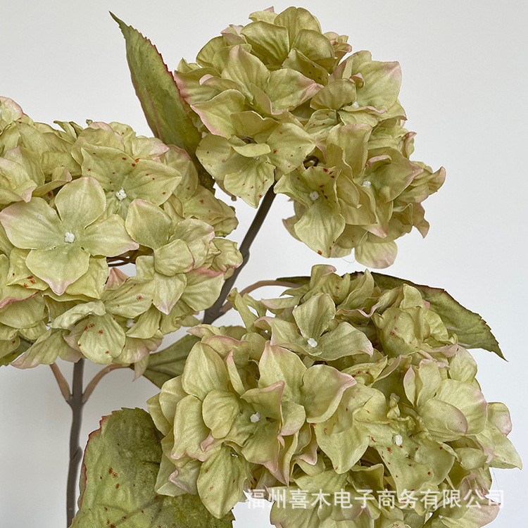 photo-output_9 4.JPG