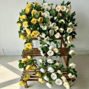 ����Gֲɽ�軨��ڒ��c����ֲ��bҾӾƵ��b������l