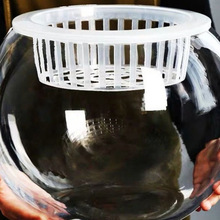 ش̖ˮֲﲣƿ͸ˮBG}ƿA~[