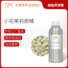 С������ԭ��Jasminum sambac����ԭ�����l�����o������܇����