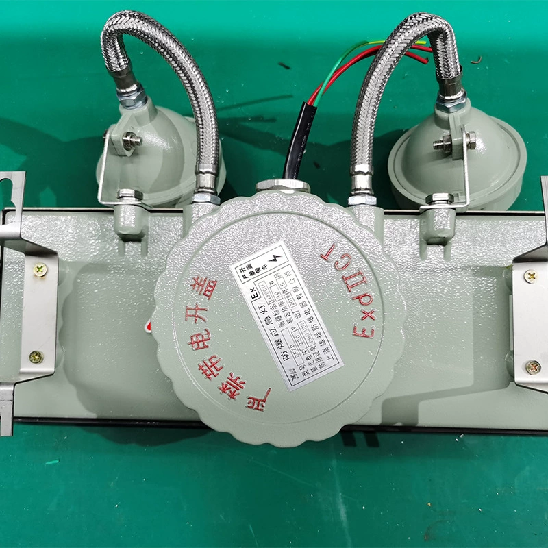 Explosion-proof emergency light, safe evacuation sign