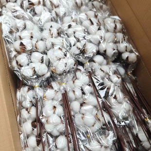 �޻��ɻ�����ľ�޻��bҾ��b���diy�Ĕz���յ��߷�����֦