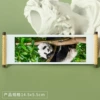 Panda 134