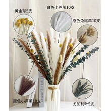 天然芦苇干花花束民宿服装店橱窗装饰家居桌面摆件干果叶脉干花