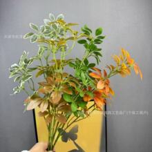 ��������ľ�Gֲ�٘�֦���~�ҾӾƵ��k����ܛ�b�廨��c�羳���l