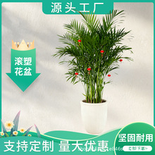 ���s�Q�y�A�λ����̖�����҃���Gֲ�Nֲ�����@ˇ�b������l���S