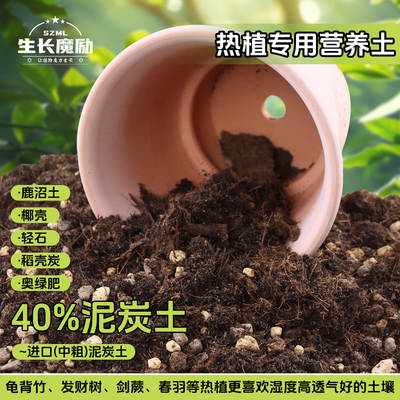 Growth of Magalitian South Star Plant Nutrient Soil 5L Culture Soil Hot Planting Tortoise Bamboo Indoor Plant Universal Flower Soil