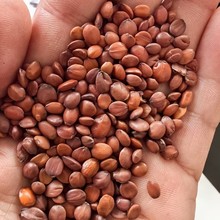 Դ�^�S�����l�a��؛Դ�ᗗ�ʬF؛���ᗗ�����x�oѬɢ�b�r�aƷ