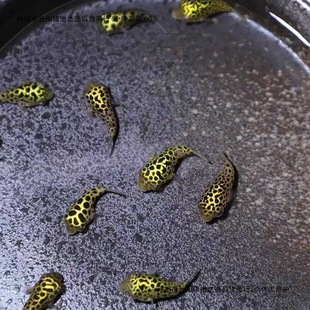 �����^�p�~�����޵�ˮСС������Ķ��Ӻ��B�ͻ��ɿ�������