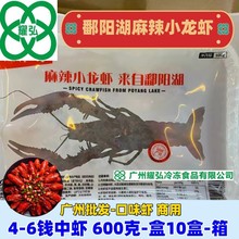 ۶ꖺ�����С���r4-6�X���r600��-��10��-��V�����l-��ζ�r ����