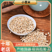 薏米500g 中药材批发供应小薏米现货供应量大从优