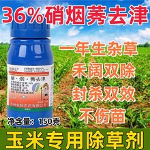 锄把头36%硝烟莠去津 玉米田苗后一年生杂草狗尾草马齿笕除草剂药