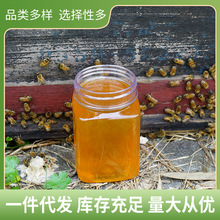 2025荔枝蜂蜜500g散装 纯正原蜜一件代发蜂农自产