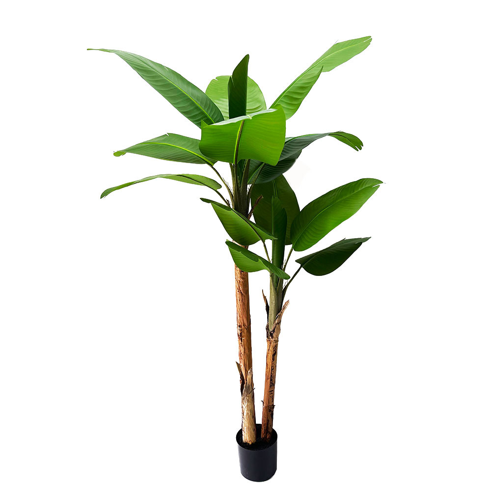 Altura del producto 180CM 15 hojas + 7 pulgadas maceta de goma negra