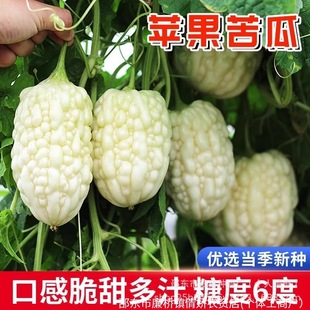 ̨���O����ϷN�Ӱ׾G�O����ϷN��ˮ����ϷN���߲˷N�ӷN�Ӵ�ȫ