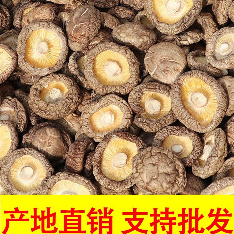 古田香菇干货500g福建农家香菇干货无干燥剂香菇批发菌菇肉厚无根