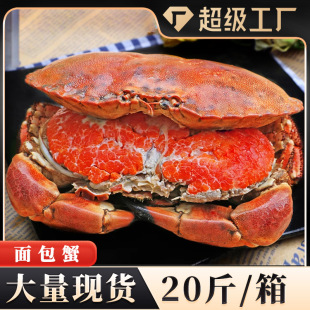 ���з20��/�䳬�����з������з��з���rˮ�a�S��з�䌚з