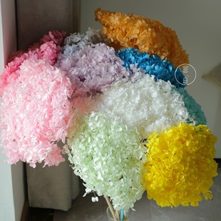 �������������l��ϰ��Ƚ���DIY���ı��r����ɫ��c�S��ֱ���l