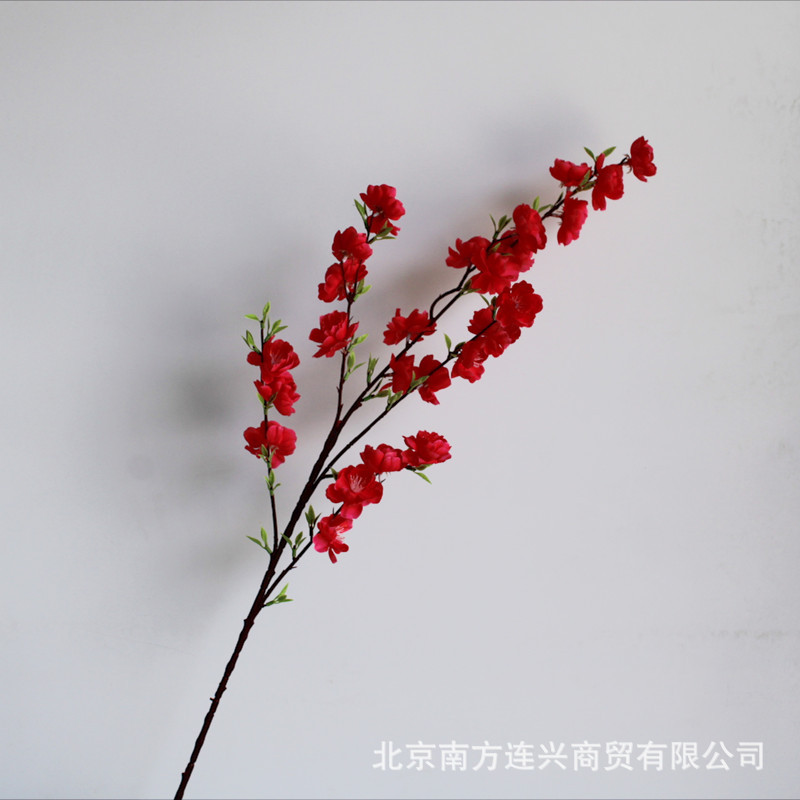 로즈 레드