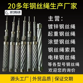 钢丝绳;钢绞线;其他索具