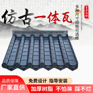 �߷��ӷ¹�һ�w��Ƭ������܇����T�^Ժ��һ�w�����Ϙ�֬�߷¹���