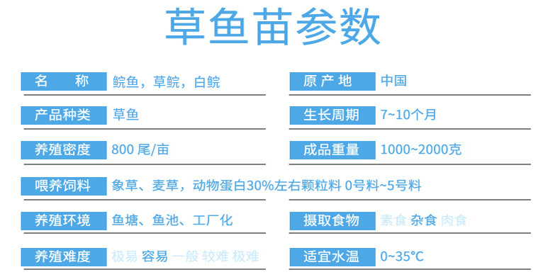 草鱼.jpg