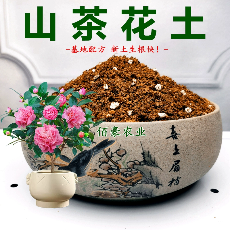 Специальная почва для камелии