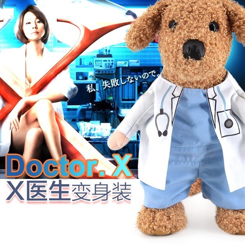 犬と猫の面白い服、面白いナイフを手にしたサモエド、かわいいビションフリーゼ、クリエイティブなペットのテディ、ファイティングドッグパロディー|undefined