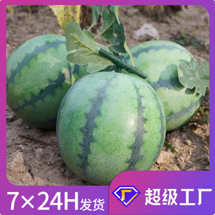 Simulation new watermelon Poly Dragon foam watermelon model still life pose props children's teaching aids high simulation fruit