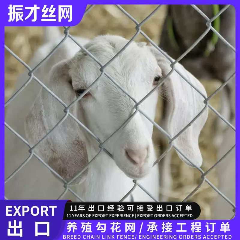 勾花网菱形养殖网果园隔离栏操场热镀锌网钢丝网不锈钢铁丝网