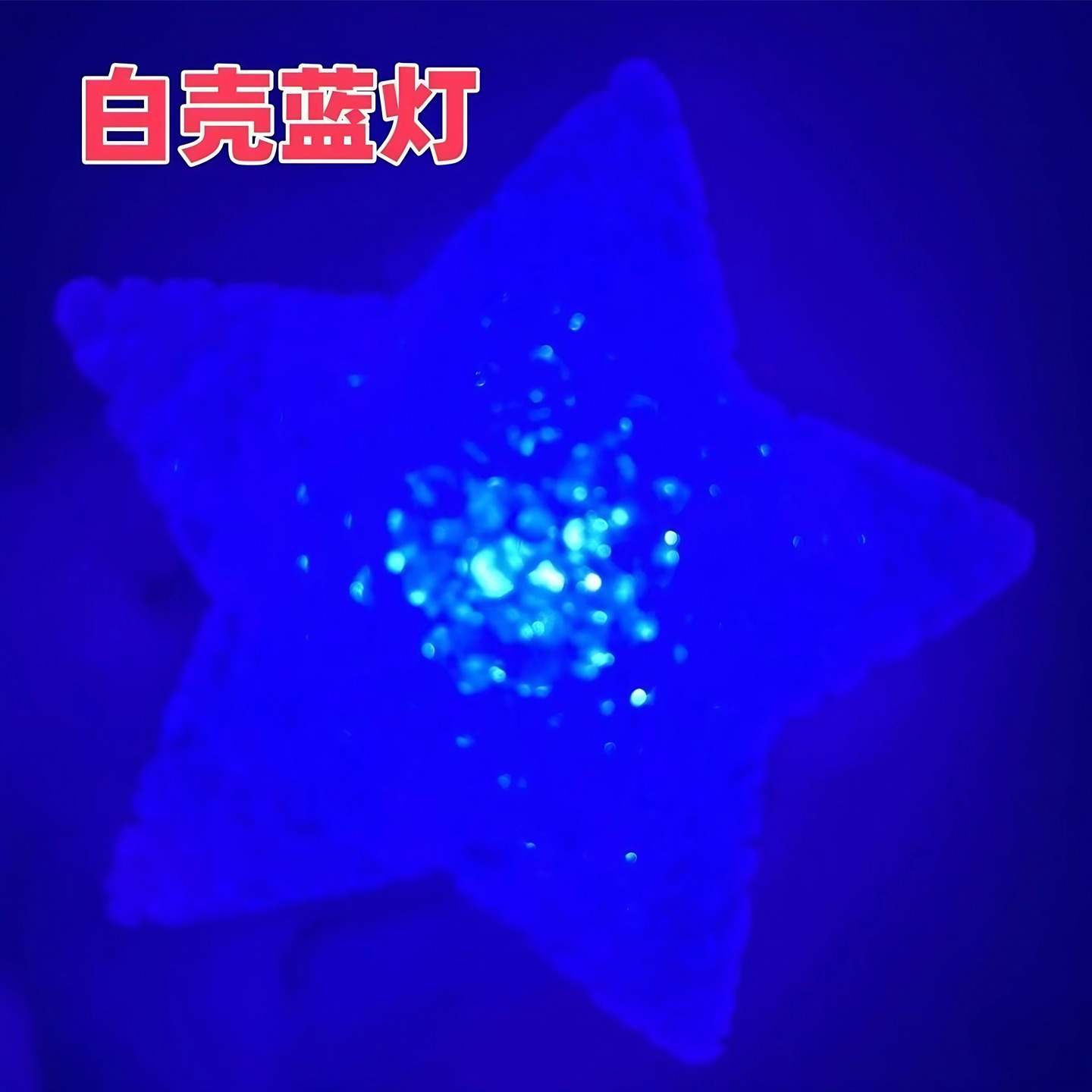 Luz LED de Pulsera con Forma de Estrella de PP para Fiestas y Eventos image 15