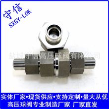 CNG高压单向阀 天然气加气机止回阀H21F-420P/H21F-100P/RD-L22