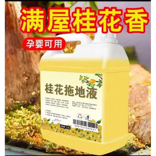 Osmanthus Floor Mop Floral Water Family Pack Hotel Large Bucket Floor Cleaner Fresh Scent Mop Fragrance Long-Lasting Fragrance