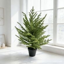 Ӣ�߸�ŵ���˵�������Ȼ���װ��������PEʥ������ֲ����ֲ��羳