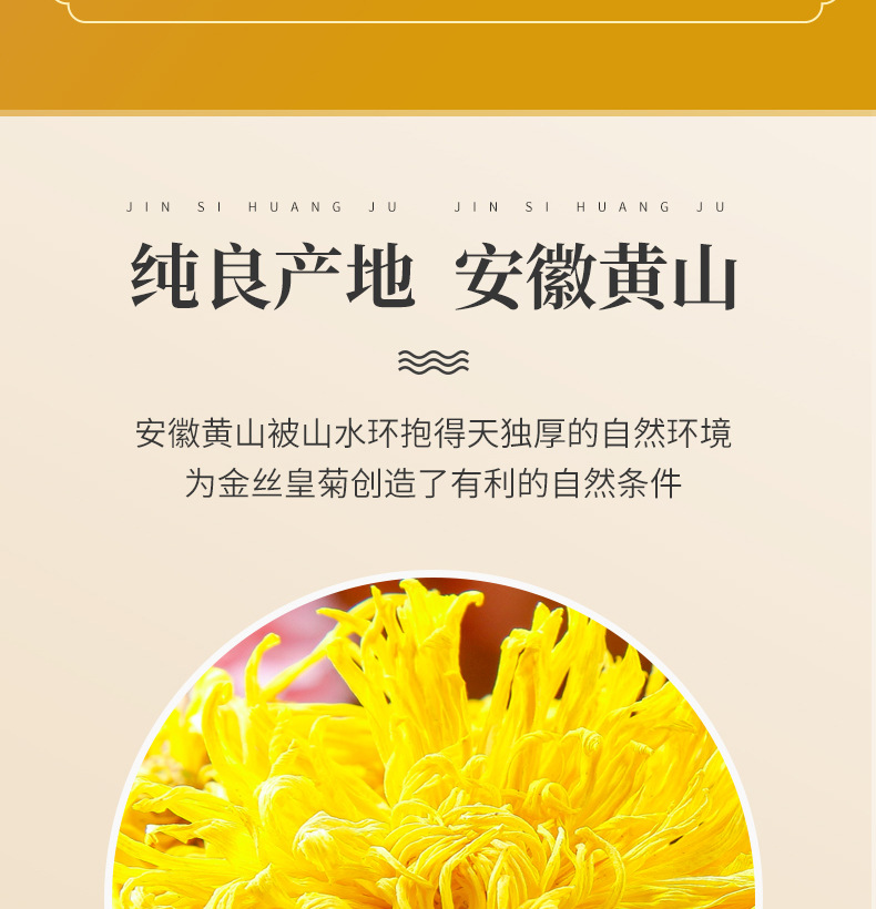Golden Silk Imperial Chrysanthemum Dried Flower Tea 10g Premium Anhui Chrysanthemum quality and texture
