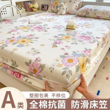 Slȫ޴ȫA޿ͨ|o100ļͨ